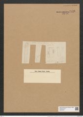 Grammatophora marina var. ? subundulata Grun. (de-Toni-Nr.: Genus 93, Species 3030) Zeichnungen Sammlung Grunow Nr. 6136 (NHMW-BOT-W0374677)